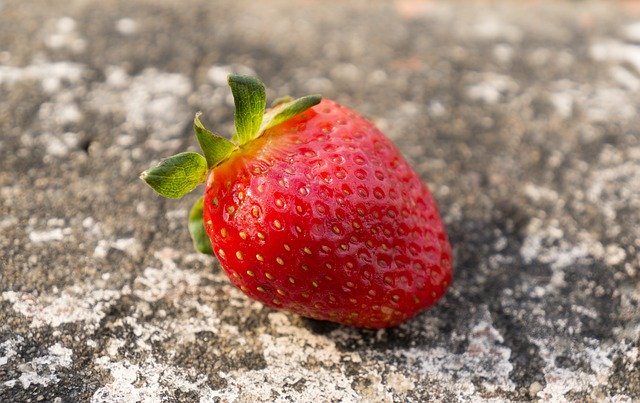 הורדה חינם של מזון פירות תות דה לאט תמונה בחינם לעריכה עם עורך תמונות מקוון בחינם של GIMP