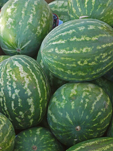 Free download food vegetable flora pasture free picture to be edited with GIMP free online image editor