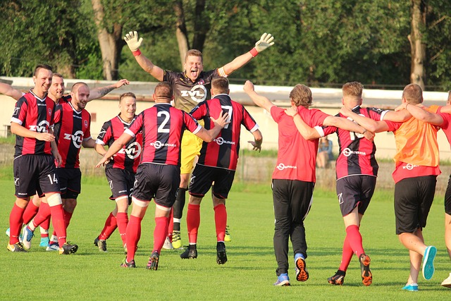 Free download football win joy sport victory free picture to be edited with GIMP free online image editor