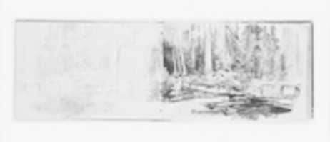 Free download Footbridge in Forest (from Sketchbook X) free photo or picture to be edited with GIMP online image editor