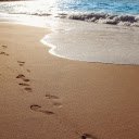 Footprint on the sand  screen for extension Chrome web store in OffiDocs Chromium
