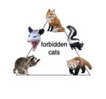 Free download forbidden cats free photo or picture to be edited with GIMP online image editor