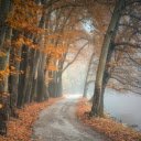 Forest along the lake  screen for extension Chrome web store in OffiDocs Chromium