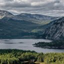 Forest along the lake shore  screen for extension Chrome web store in OffiDocs Chromium