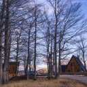 forest and houses  screen for extension Chrome web store in OffiDocs Chromium