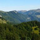 forest and sky  screen for extension Chrome web store in OffiDocs Chromium