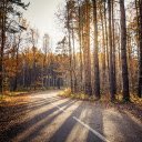 Forest and sunny path  screen for extension Chrome web store in OffiDocs Chromium