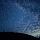 Forest and thousands of stars  screen for extension Chrome web store in OffiDocs Chromium