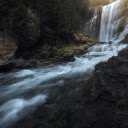 Forest Cascade  screen for extension Chrome web store in OffiDocs Chromium