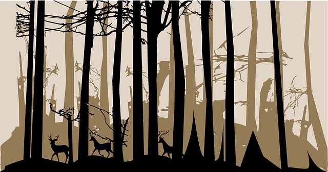 Bezpłatne pobieranie ilustracji Forest Dark Trees do edycji za pomocą internetowego edytora obrazów GIMP