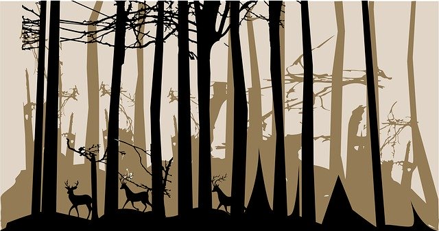 Bezpłatne pobieranie ilustracji Forest Dark Trees do edycji za pomocą internetowego edytora obrazów GIMP