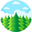 Forest Extension  screen for extension Chrome web store in OffiDocs Chromium
