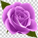 Forest flowers by the lake  screen for extension Chrome web store in OffiDocs Chromium