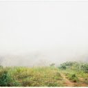 forest fog  screen for extension Chrome web store in OffiDocs Chromium
