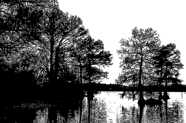 Free download Forest Landscape Silhouette -  free illustration to be edited with GIMP free online image editor