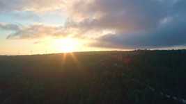 Free download Forest Morning Sun Landscape -  free video to be edited with OpenShot online video editor