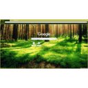 Forest moss  screen for extension Chrome web store in OffiDocs Chromium