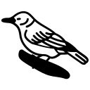 Forest Nuthatch on Moss  screen for extension Chrome web store in OffiDocs Chromium