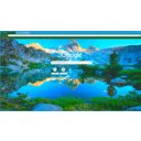 Forest of many colours  screen for extension Chrome web store in OffiDocs Chromium