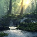 Forest сreek sunset  screen for extension Chrome web store in OffiDocs Chromium