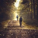 FOREST ROAD Theme  screen for extension Chrome web store in OffiDocs Chromium