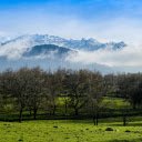 forests and mountains  screen for extension Chrome web store in OffiDocs Chromium