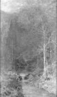 Free download Forest Scene with Pool free photo or picture to be edited with GIMP online image editor