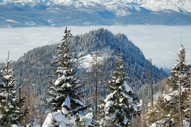 Free download forest snow fog mountains nature free picture to be edited with GIMP free online image editor