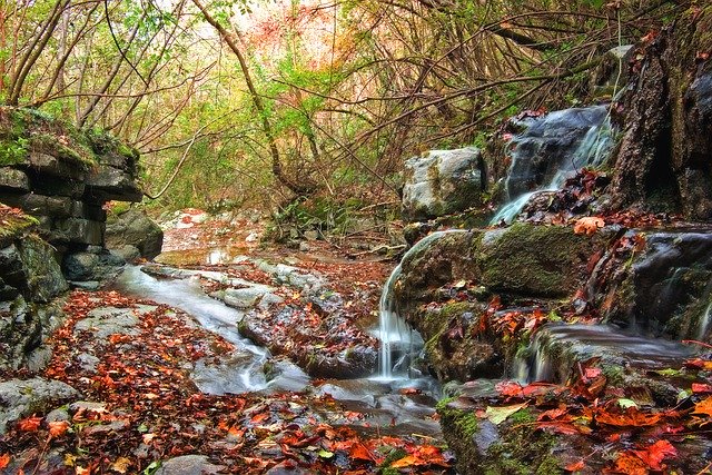 Kostenloser Download Forest Stream Torrent Herbst kostenloses Bild, das mit dem kostenlosen Online-Bildeditor GIMP bearbeitet werden kann