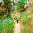 Forest Trail  screen for extension Chrome web store in OffiDocs Chromium