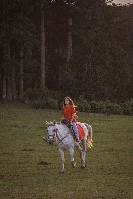 Free download forest tree girl horse friends free picture to be edited with GIMP free online image editor