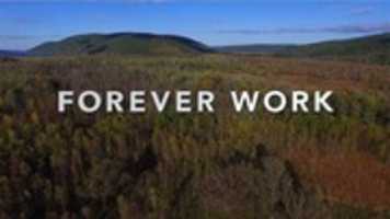 Free download forever-work-video free photo or picture to be edited with GIMP online image editor
