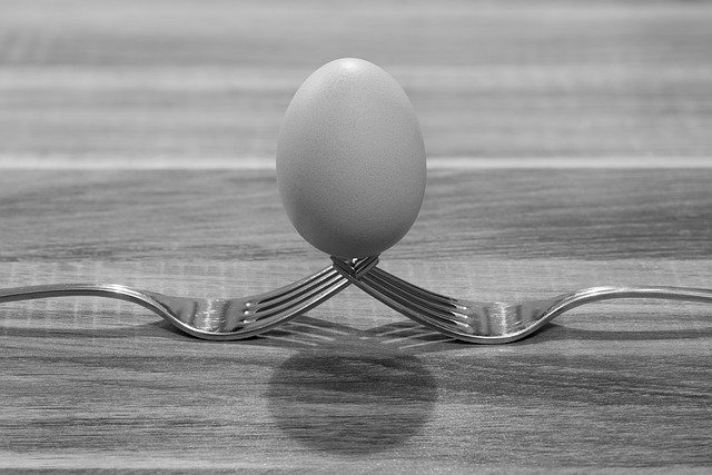 הורדה חינם fork egg macro photo art תמונה לעריכה עם עורך תמונות מקוון בחינם של GIMP