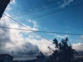 Free download Fotos variadas free photo or picture to be edited with GIMP online image editor