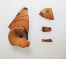 Free download Four fragments of a terracotta kylix:Komast cup (drinking cup) free photo or picture to be edited with GIMP online image editor