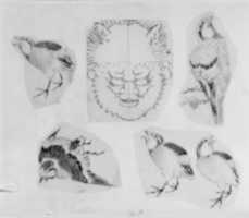 Free download Four sketches of birds and one design for a grotesque mask, mounted together free photo or picture to be edited with GIMP online image editor