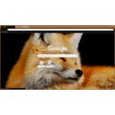 Foxes eyes closed  screen for extension Chrome web store in OffiDocs Chromium