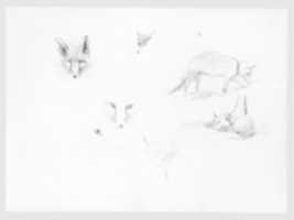 Free download Foxes (from Switzerland 1870 Sketchbook) free photo or picture to be edited with GIMP online image editor