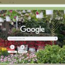 Foxface  screen for extension Chrome web store in OffiDocs Chromium