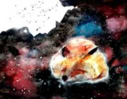 Free download Fox study | Collection free photo or picture to be edited with GIMP online image editor