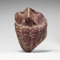 Free download Fragmentary  porphyry  head of a bearded man free photo or picture to be edited with GIMP online image editor