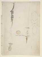 Free download Fragmentary Sketches of Various Ornament free photo or picture to be edited with GIMP online image editor