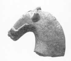 Free download Fragment of a Horses Head free photo or picture to be edited with GIMP online image editor