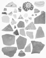 Free download Fragment of a Jar (Study Collection) free photo or picture to be edited with GIMP online image editor