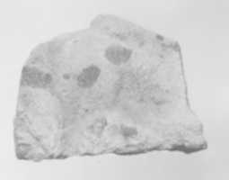 Free download Fragment of a large animal figurine free photo or picture to be edited with GIMP online image editor