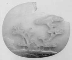 Free download Fragment of a Medallion free photo or picture to be edited with GIMP online image editor