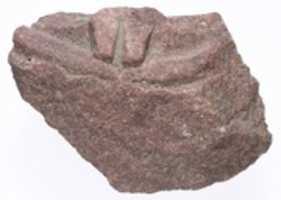 Free download Fragment of a queens crown (?) with modius of uraeus, disk, horns and double uraeus free photo or picture to be edited with GIMP online image editor