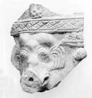 Free download Fragment of a Relief Ornament free photo or picture to be edited with GIMP online image editor