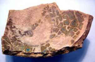 Free download Fragment of a vessel base free photo or picture to be edited with GIMP online image editor