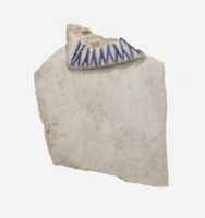 Free download Fragments of Vase free photo or picture to be edited with GIMP online image editor